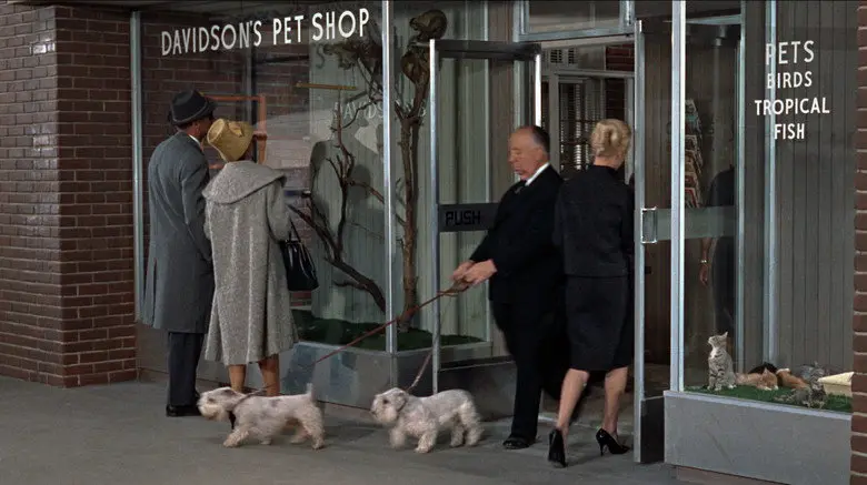 People standing outside a pet shop with birds and small animals in the windows