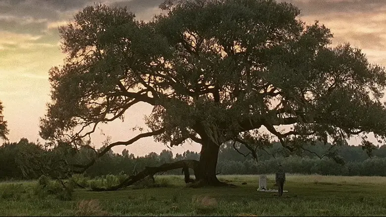 Forrest and Jenny stand beneath a large tree in Forrest Gump
